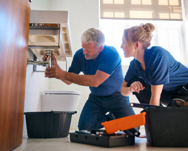 Best Affordable Plumbing Services  in Chesterton, IN